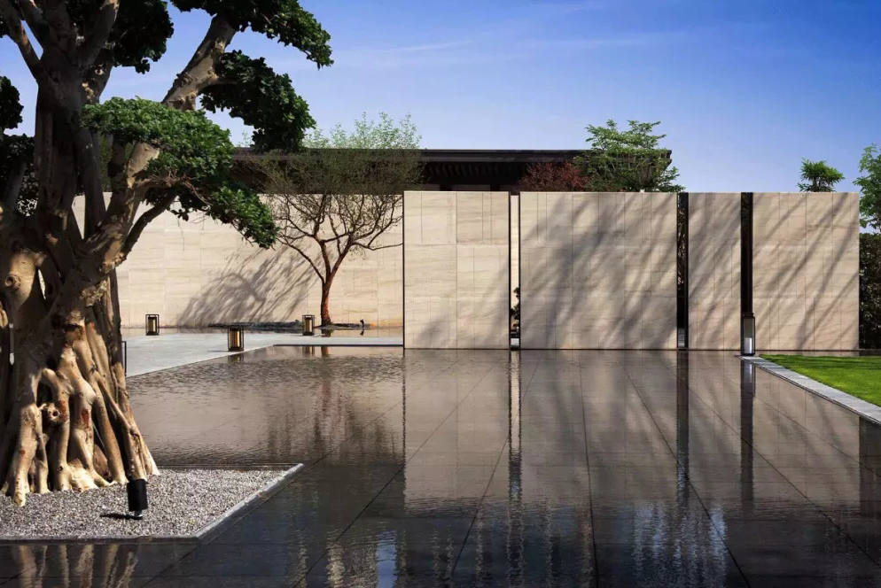 心之所向，桃花源！