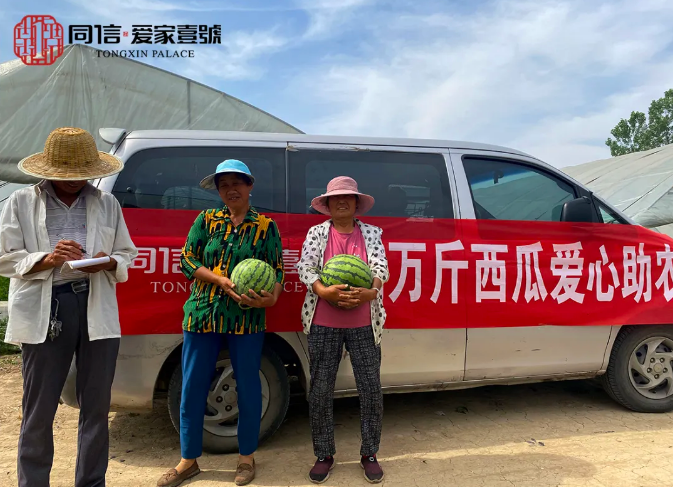 瓜甜心更甜|同信·愛家壹號(hào)采購(gòu)萬(wàn)斤西瓜愛心助農(nóng)在行動(dòng)！