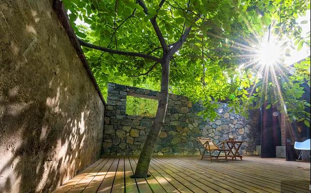 同信·愛家壹號(hào)|曾經(jīng)江湖策馬，如今院里觀花！