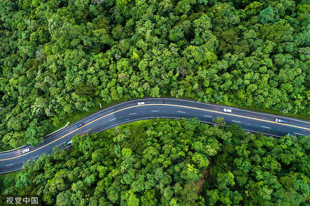 福利請(qǐng)查收丨點(diǎn)亮團(tuán)圓路，與愛相伴同心同行！